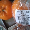 マイヒメおじさん／堀込せりを植える／西南のひかり