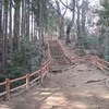 勝俣部長の健康日記････高尾山「健康を体感する」（１７８）