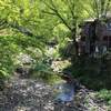 旅ラン「甲州道走膝痛シ」…立川～小仏峠～相模湖、その３（高尾）
