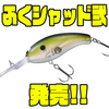 【ダイワ】オカッパリ特化型フローティングシャッド「ふくシャッド弐」発売！