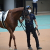 (友達の)出資馬勝利！現場の雰囲気は？