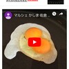 "マルシェ かしま 佐倉 ふるさと広場前 面白い玉子" を YouTube で見る