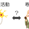 神経活動が寿命を決める！？