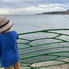 本日の釣果！星也の竿に反応が！虹色の超巨大な◯が！