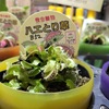JR西宮｜フレンテの花屋さん「フラワーケンズ」でハエとり草を発見！