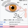 涙システム！