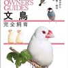 文鳥を飼うために必要な知識を紹介する手引書の決定版