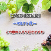  【ブログ運営記録】4年7ヶ月☆この際のんびり行きますわ