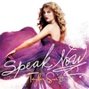 Speak now-Taylor Swift 歌詞 和訳