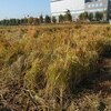 ３５打数０安打のリベンジ