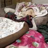 お気に入り