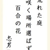 荒れた庭咲く場所選ばず百合の花 
