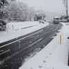 １１月の雪