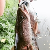 亀山湖でバス釣り 後編