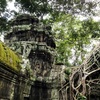 アンコール遺跡群への旅忘録③　タ・プローム