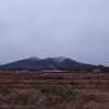 スタポン、お山は雪だ、よかったニャン（Dec. 18, 2013）