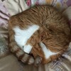 衣替えの季節