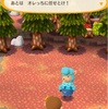 【ポケ森】新しいテントをクラフト