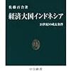 佐藤百合『経済大国インドネシア』