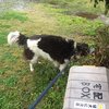 土木工事熱