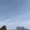 3㎝以上のしこり･･･