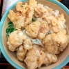 おにやんま 東品川店@青物横丁（温「並」とり天＋追加麺0.5玉＋とり天）