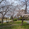 三分咲きほどの花のもと