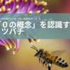 「ゼロの概念」を理解するミツバチは、やっぱり賢い