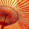 勝海舟の妻・たみ（民子）　夫との複雑な夫婦関係と晩年