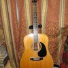Martin D-35 (1977)