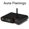 【HiFiGOニュース】Aune Flamingo：最新ワイヤレスBluetooth USB DAC＆真空管ヘッドホンアンプ