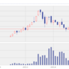 To the Moon 銘柄をそろえたETF　（MOON Direxion デイリー ムーンショット・イノベーターズ ETF）　