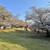 さくらさくら🌸　その２