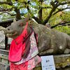 夏の京都の王道観光旅行の４日目（最終日）