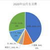 2020年11月生活費