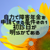 自力で障害年金を申請できる条件その１、初診日が明らかである