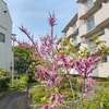 (巻四十四) 合図待つ握りこぶしや大試験(駒井ゆきこ)