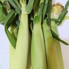 皮つきヤングコーンどうやって食べるの？