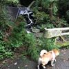明け方の電話