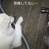 走ってます