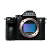 3月10日はSONYのミラーレス一眼カメラ「α7R III」が半額の134,000円。