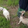 損得を離れた生き方