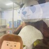 選挙