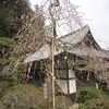 宝登神社(埼玉県秩父郡長瀞町)