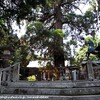 香川県水主神社と阿波の関係　②