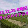 2023,12,28 木曜日 トラックバイアス予想 (中山競馬場、阪神競馬場)