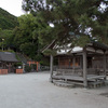 滋賀県高島市・白鬚神社と琵琶湖中の鳥居ライトアップ