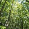 ２０２３夏の思い出と、近況報告～♪(*´ω｀*)