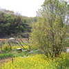 里山の春景色