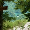 豊かな森から核心部「のろし岩」へ・・・糸瀬山（中央アルプス）-2